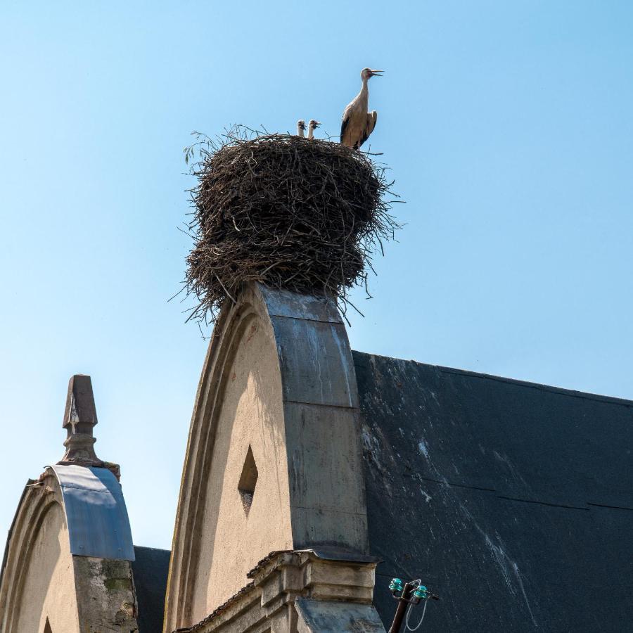 Zamek Sarny - Schloss Scharfeneck Kłodzko Eksteriør billede