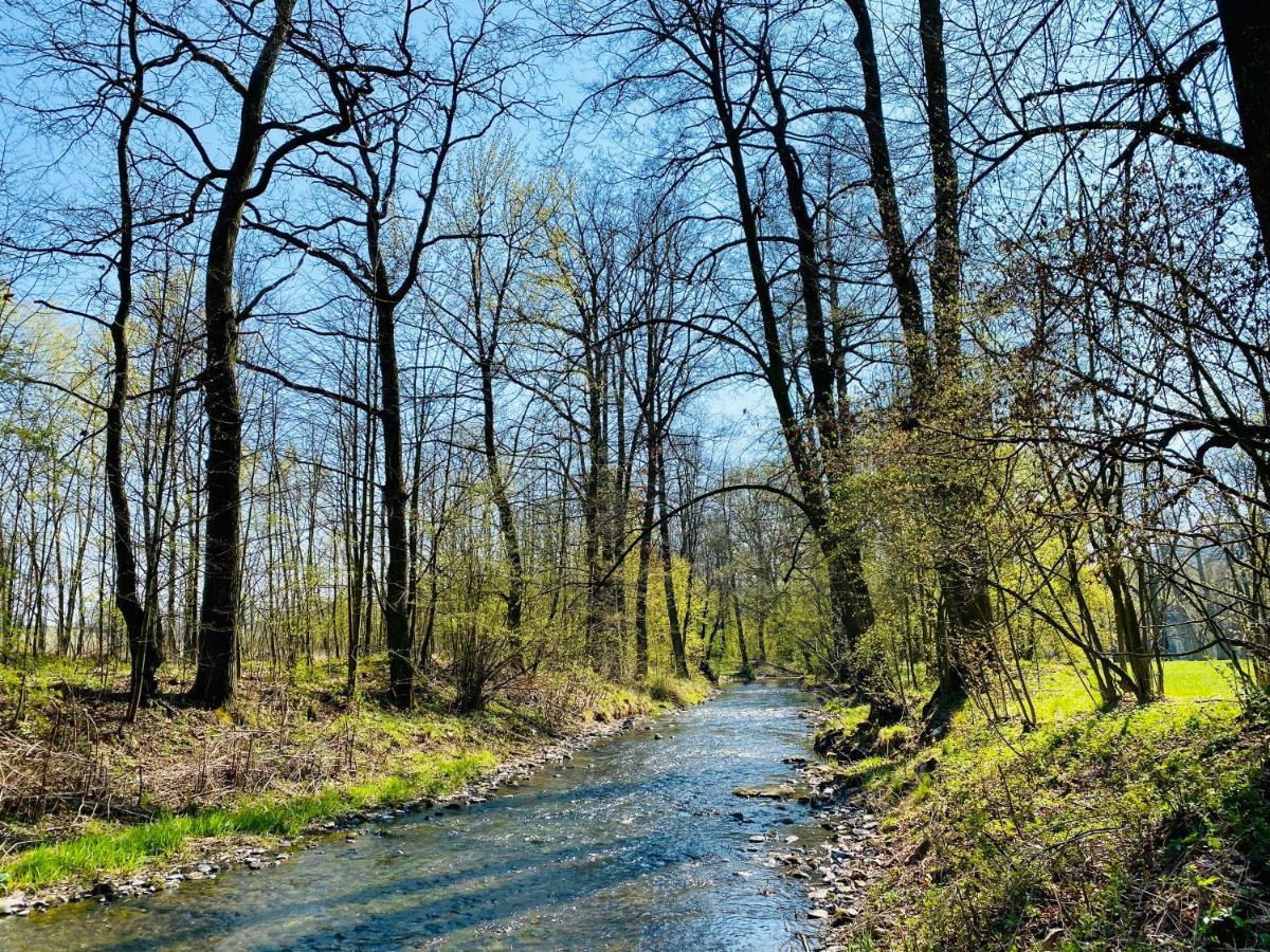 Zamek Sarny - Schloss Scharfeneck Kłodzko Eksteriør billede